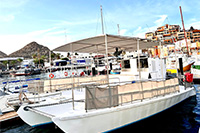 Trimaran Sailing Cabo San Lucas